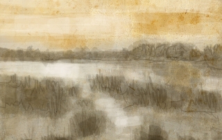 journal_marsh